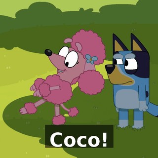 Coco!