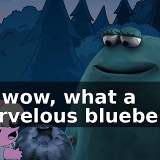 Oh wow, what a marvelous blueberry.