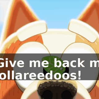 -Give me back my dollareedoos!