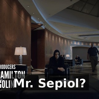 Mr. Sepiol?