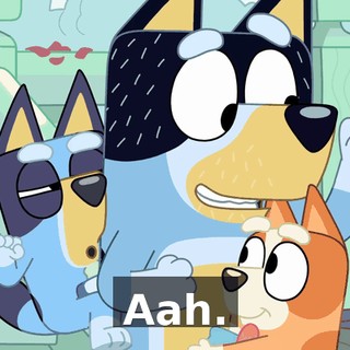 544959b3-a514-4369-982e-de27931ca8da.gif