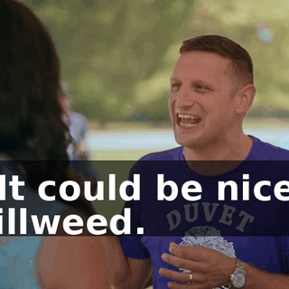 - It could be nicer, dillweed.