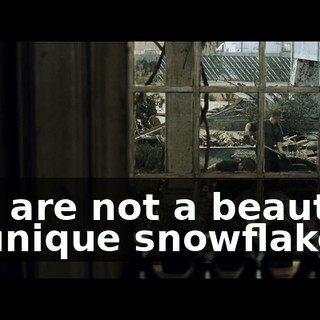 You are not a beautiful or unique snowflake.