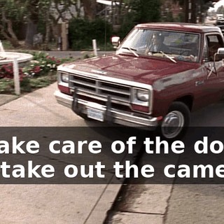 I'll take care of the dogs, you take out the cameras.