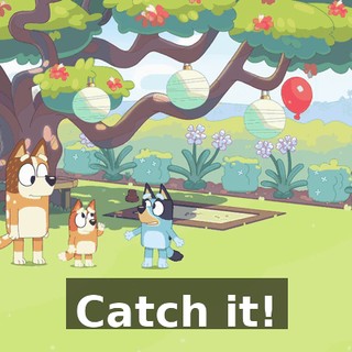 Catch it!