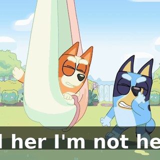 Tell her I'm not here!