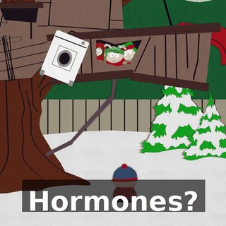 Hormones?