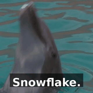 550dcc0d-d6e9-4011-ac27-d4810317a1cd.gif