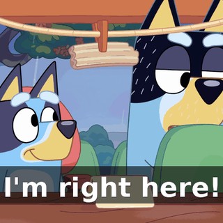I'm right here!