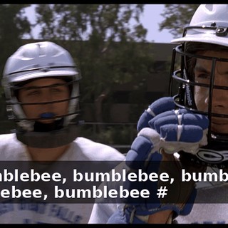 # Bumblebee, bumblebee, bumblebee, bumblebee, bumblebee #