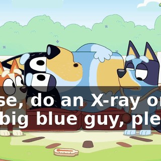 Nurse, do an X-ray on the big blue guy, please.