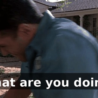 What are you doing?