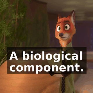 563b5cc8-c30a-4283-9666-74768c79d7a2.gif