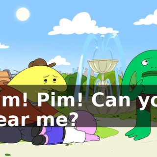 Pim! Pim! Can you hear me?