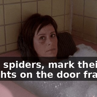 I kill spiders, mark their heights on the door frames