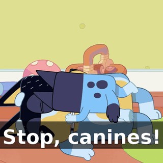 5687c0fe-838c-4769-8338-598298dab30e.gif