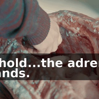 56a550bd-af11-4014-bf01-780e6053bc5d.gif