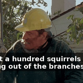 About a hundred squirrels came boiling out of the branches.