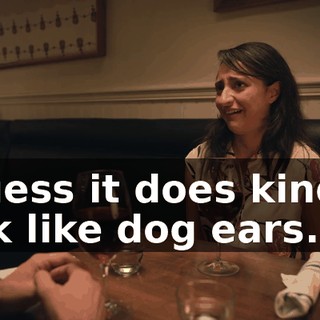 I guess it does kind of look like dog ears.