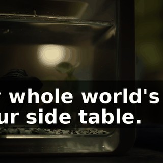 571025f3-3b61-49b0-b64f-ada8fbe2ebbb.gif