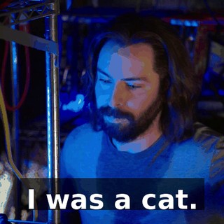 I was a cat.