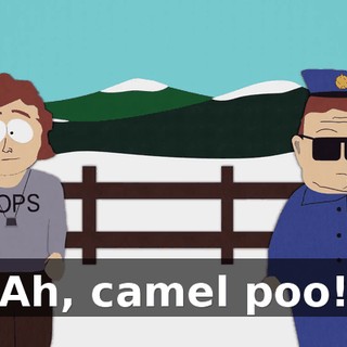 Ah, camel poo!