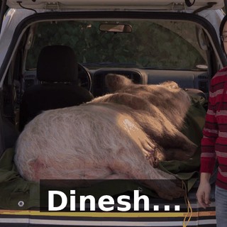 Dinesh...