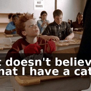 It doesn't believe that I have a cat.