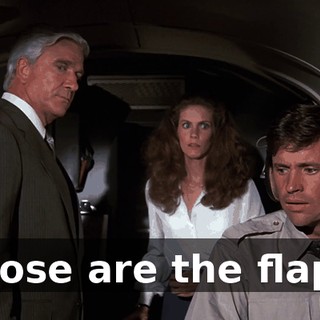 Those are the flaps.