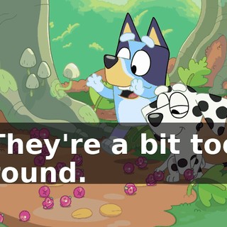 5846cd9b-4390-4cc2-bb96-e31b0d500254.gif