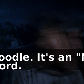 Noodle. It's an "N" word.