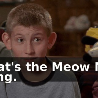 That's the Meow Mix song.