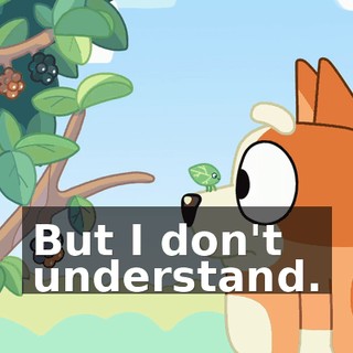 But I don't understand.