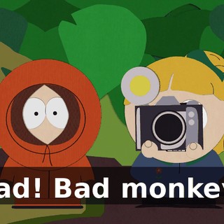 Bad! Bad monkey!