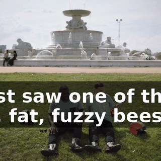 I just saw one of those big, fat, fuzzy bees.