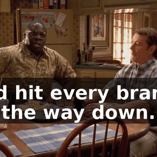and hit every branch on the way down.