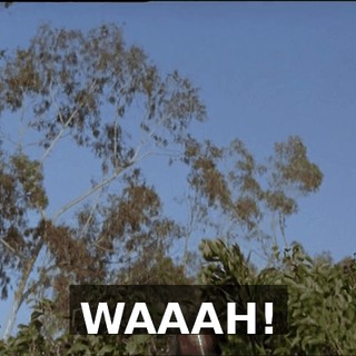 595d42e0-681f-41fd-8f2d-a51c9ff24816.gif