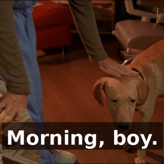 596a7f4f-f49a-4513-b391-4b788ca4ca24.gif