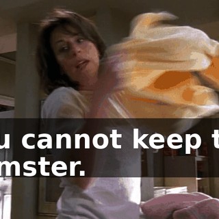 You cannot keep the hamster.