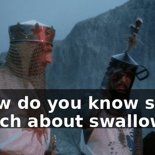 59b3482d-db3c-4676-a96c-3d21726a91bf.gif