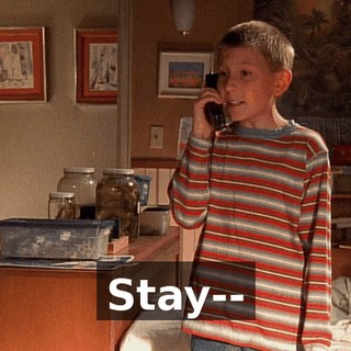 Stay--