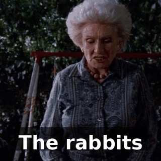 The rabbits