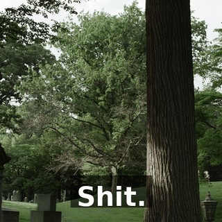 5a9b846d-fc76-44c8-906c-c7d466d0c4c0.gif