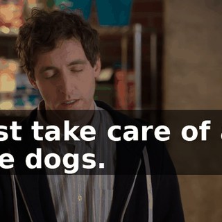 just take care of all the dogs.