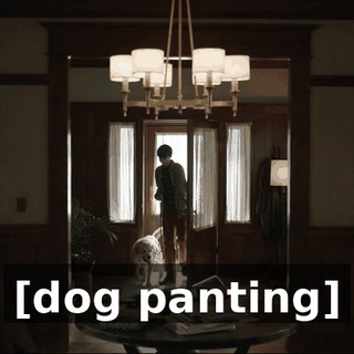 [dog panting]