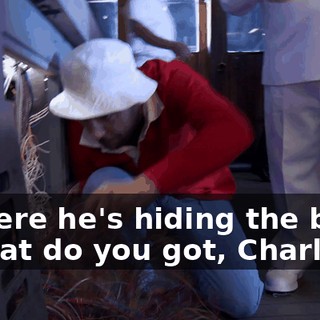 5ad828d6-d295-434e-9db1-233b8a335d2a.gif