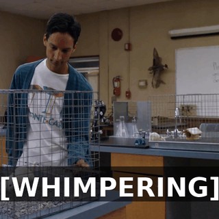 5b0435fe-5c56-4203-b719-9f6c5412005e.gif