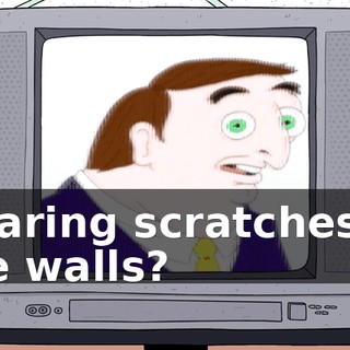 Hearing scratches in the walls?