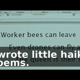 I wrote little haiku poems.