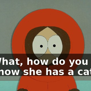 What, how do you know she has a cat?